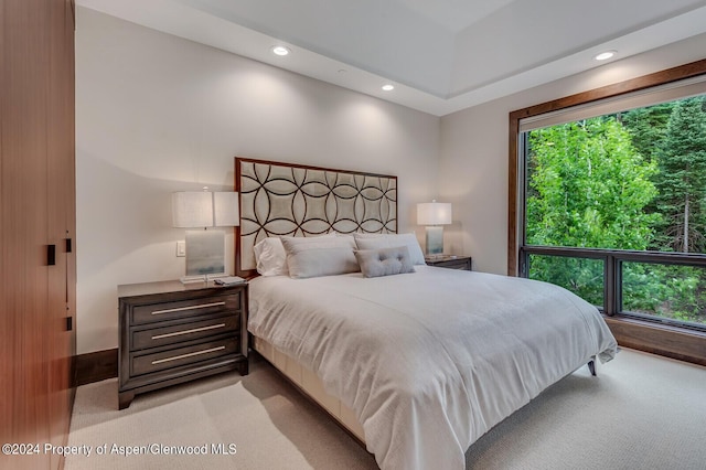 750 S Starwood Rd, Aspen, CO 81611 - photo 23