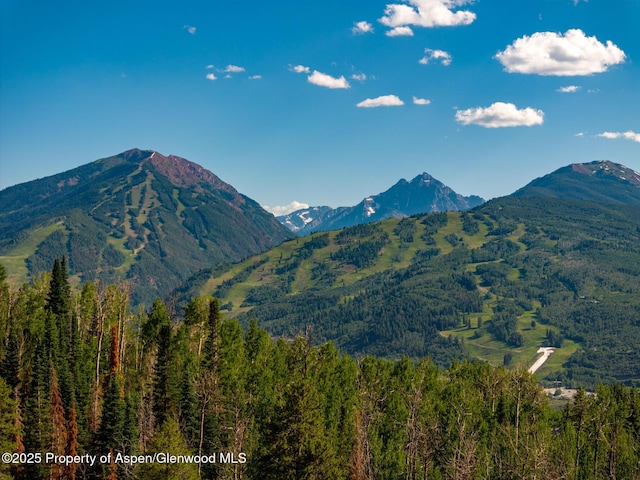 750 S Starwood Rd, Aspen, CO 81611 - photo 46