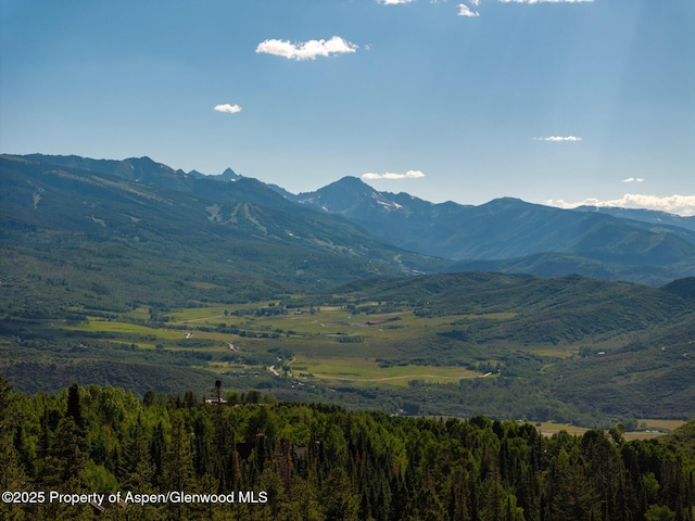 750 S Starwood Rd, Aspen, CO 81611 - photo 47