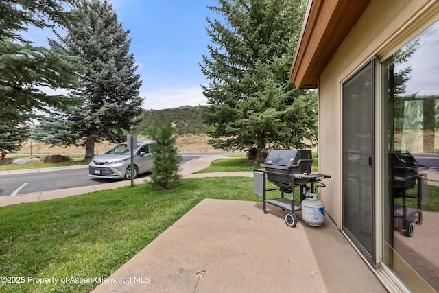 1400 E Valley Rd Unit 124, Basalt, CO 81621 - photo 15