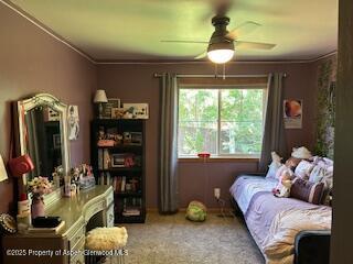 352 Lake View Rd, Hayden, CO 81639 - bedroom with carpet flooring, ceiling fan, and crown molding