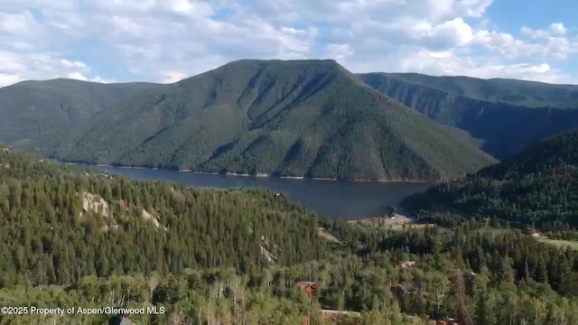 TBD Spinnaker Ln, Basalt, CO 81621