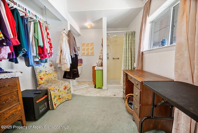 spacious closet with carpet