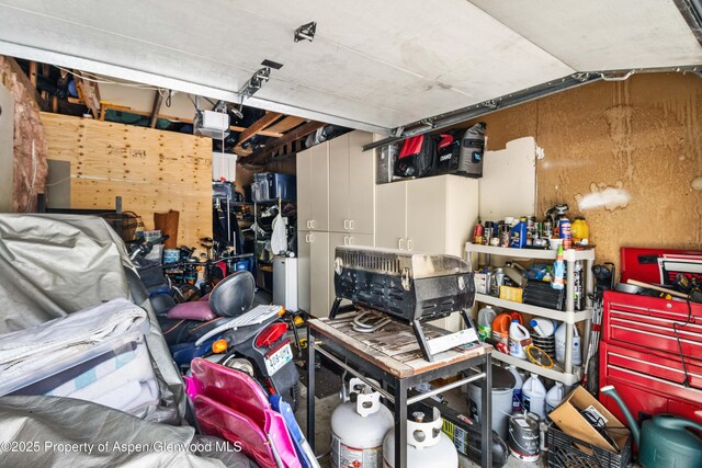 824 Lincoln Ave, Glenwood Springs, CO 81601 - garage with a garage door opener