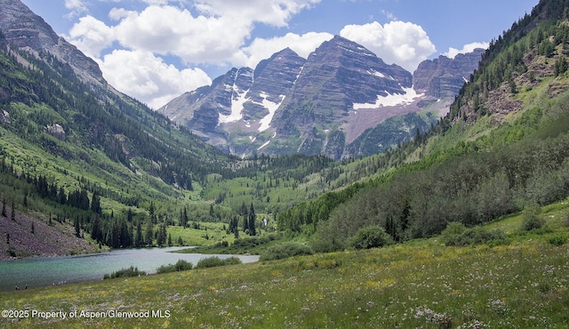 property view of mountains with a water view and a wooded view