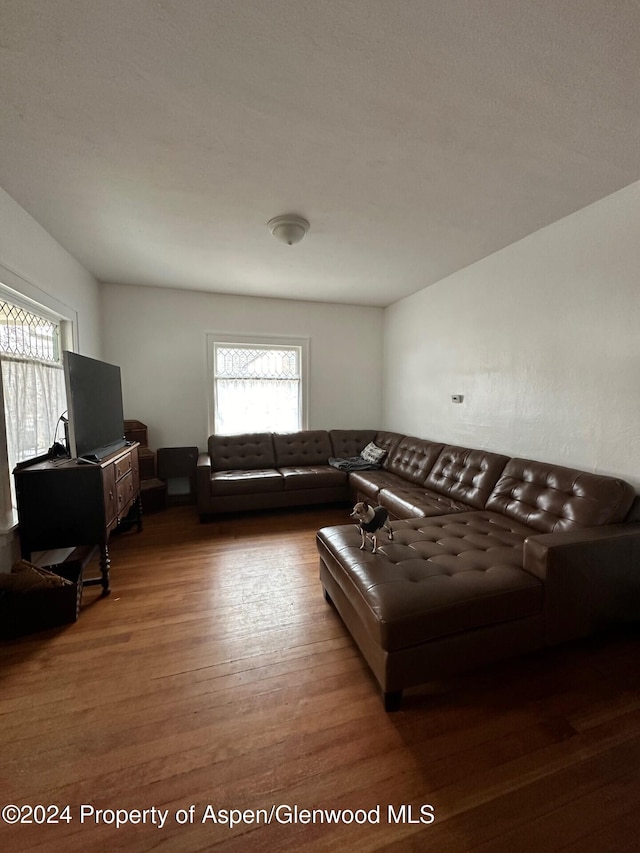 living room with hardwood / wood-style floors and plenty of natural light