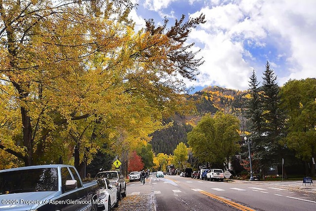 800 E Hopkins Ave Unit A-1, Aspen, CO 81611 - view of asphalt road featuring traffic signs