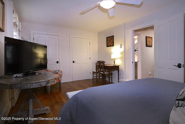 800 E Hopkins Ave Unit A-1, Aspen, CO 81611 - bedroom with wood finished floors, two closets, and a ceiling fan