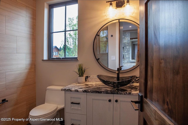 115 Sundance Trl, Carbondale, CO 81623 - bathroom with vanity and toilet