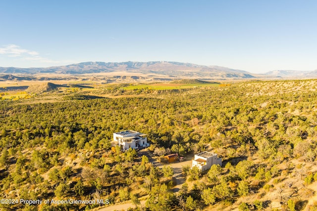 aerial view with a mountain view