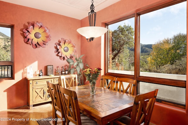 dining space featuring a wealth of natural light