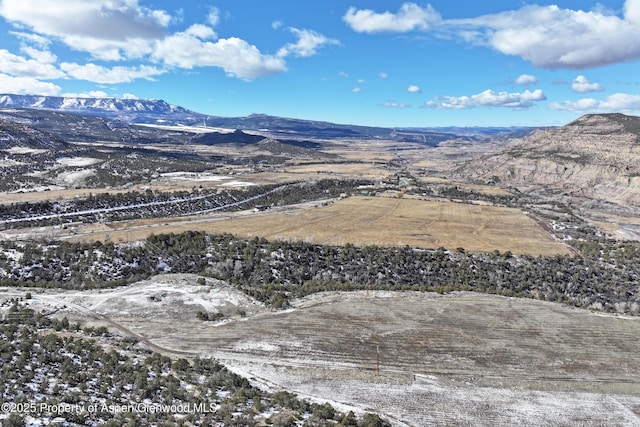 12482 54 7/10 Rd, Collbran, CO 81624 - photo 7