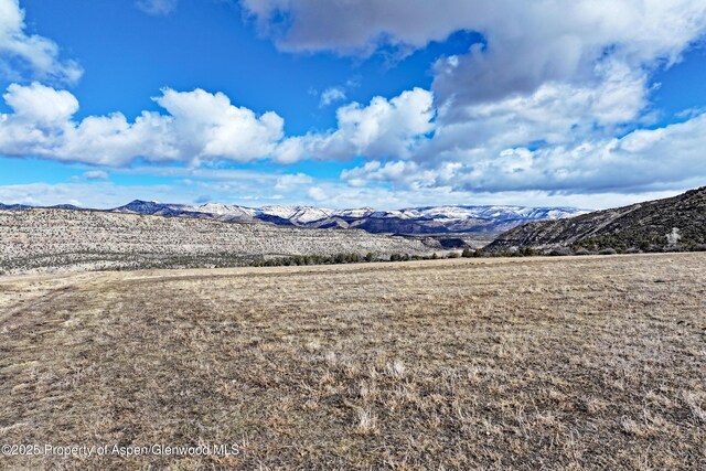 12482 54 7/10 Rd, Collbran, CO 81624 - photo 13