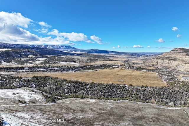 12482 54 7/10 Rd, Collbran, CO 81624 - photo 2