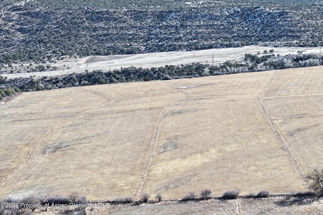 12482 54 7/10 Rd, Collbran, CO 81624 - photo 14