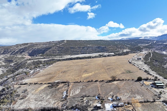 12482 54 7/10 Rd, Collbran, CO 81624 - photo 6