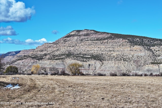 12482 54 7/10 Rd, Collbran, CO 81624 - photo 11