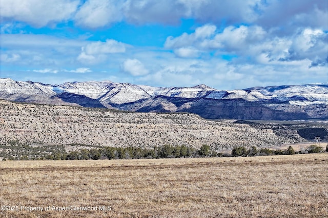 12482 54 7/10 Rd, Collbran, CO 81624 - photo 8