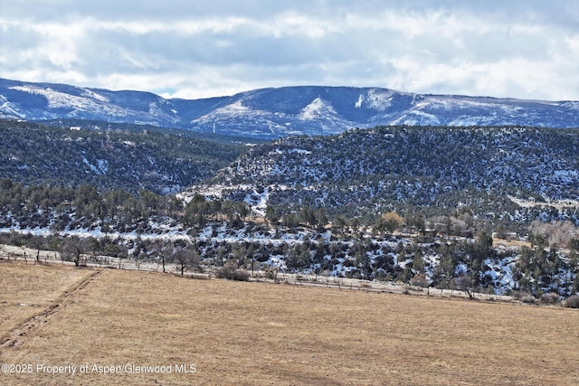 12482 54 7/10 Rd, Collbran, CO 81624 - photo 10