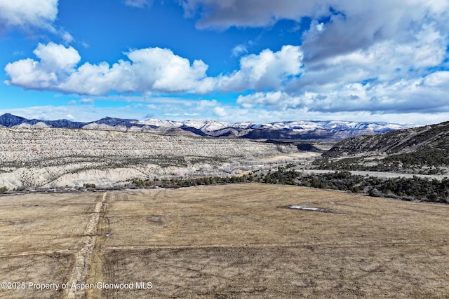 12482 54 7/10 Rd, Collbran, CO 81624 - photo 12