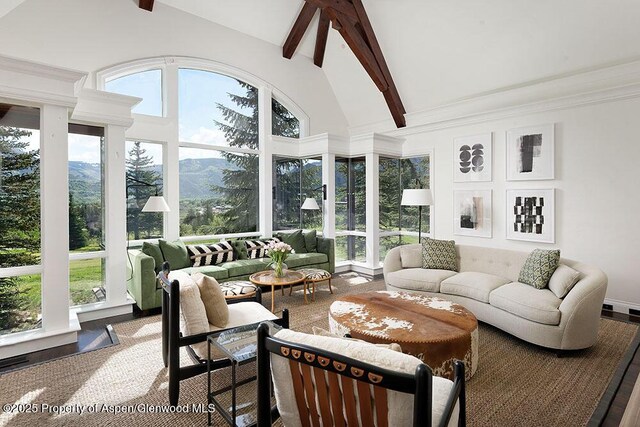 74 Pfister Dr Unit 101, Aspen, CO 81611 - sunroom featuring beam ceiling, high vaulted ceiling, a mountain view, and wood finished floors