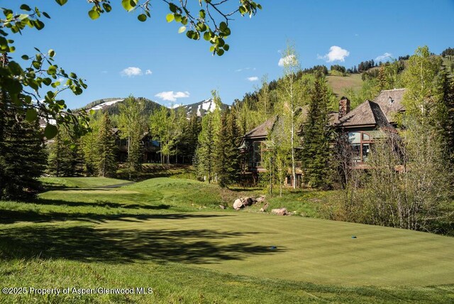 74 Pfister Dr Unit 101, Aspen, CO 81611 - view of community featuring a mountain view