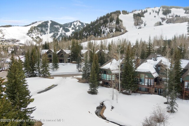 74 Pfister Dr Unit 101, Aspen, CO 81611 - view of mountain background