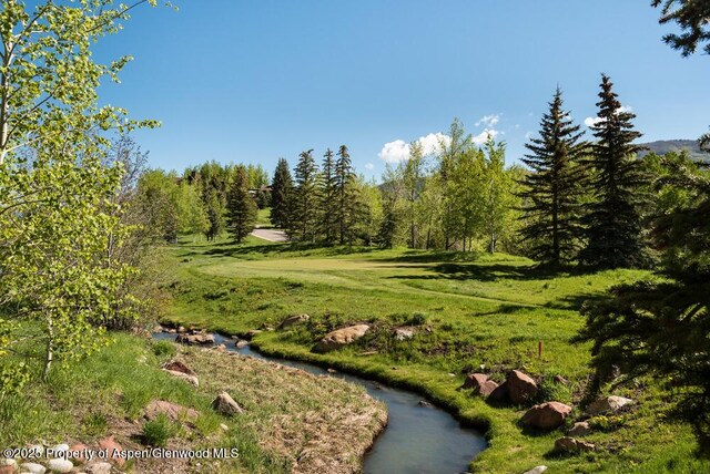 74 Pfister Dr Unit 101, Aspen, CO 81611 - view of surrounding community