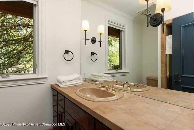 74 Pfister Dr Unit 101, Aspen, CO 81611 - bathroom featuring vanity and ornamental molding