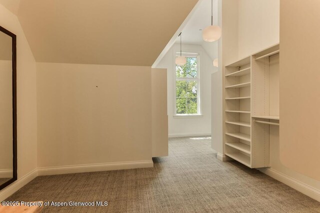 74 Pfister Dr Unit 101, Aspen, CO 81611 - spacious closet with lofted ceiling and carpet flooring