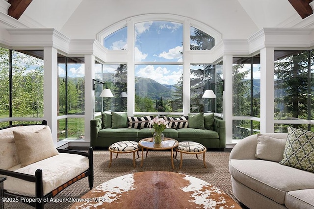 74 Pfister Dr Unit 101, Aspen, CO 81611 - sunroom / solarium with a mountain view