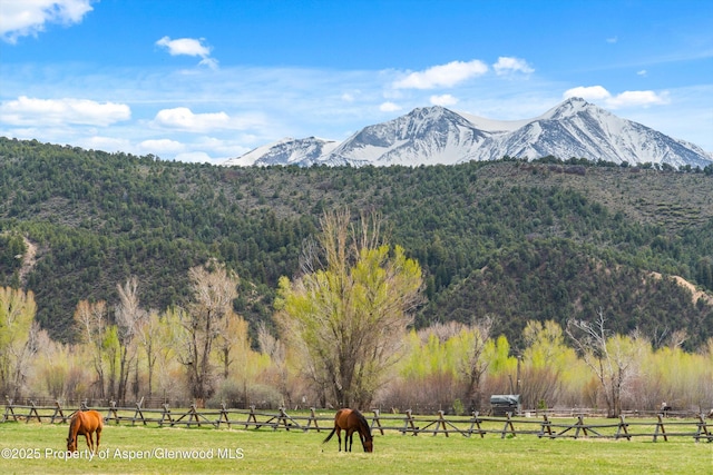 view of mountain feature with a rural view and a view of trees
