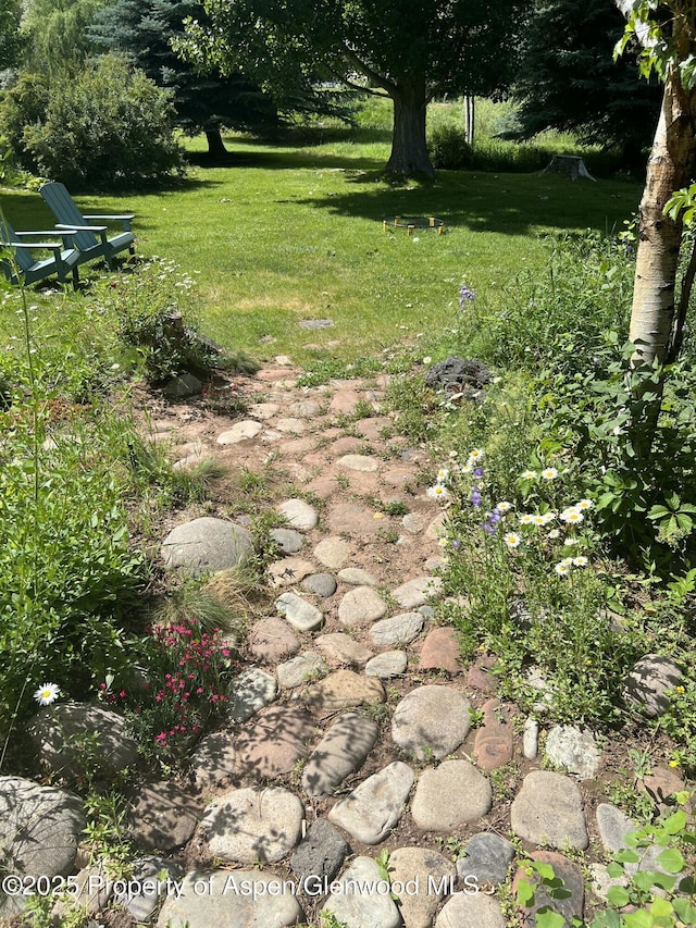 view of yard