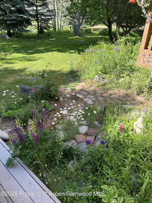 view of yard