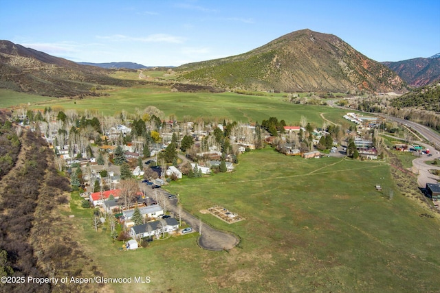 140 Ridge Trl, Aspen, CO 81611