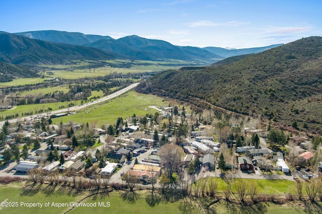140 Ridge Trl, Aspen, CO 81611