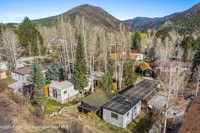 140 Ridge Trl, Aspen, CO 81611