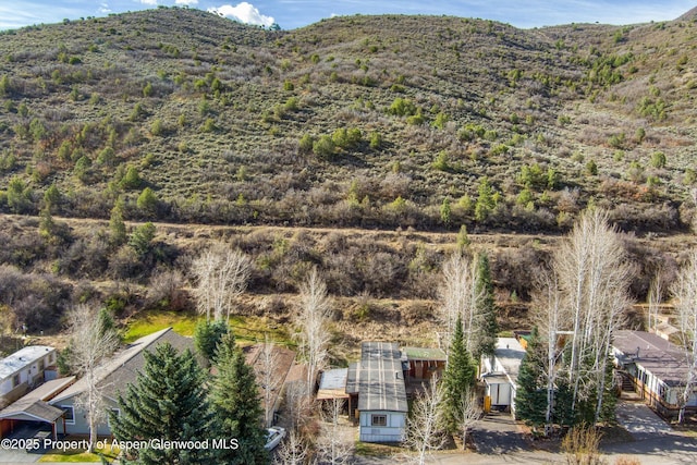 140 Ridge Trl, Aspen, CO 81611