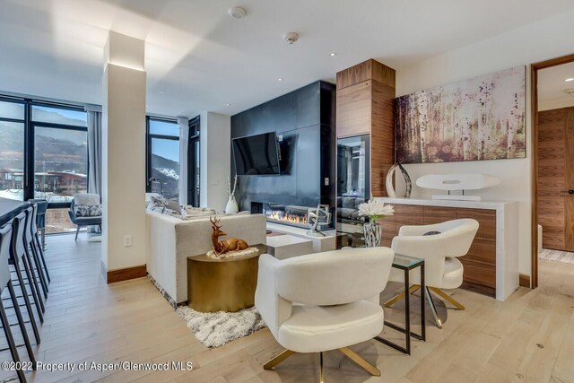 living room featuring light hardwood / wood-style floors and a wall of windows