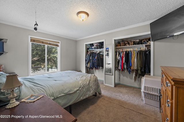 1617 W 7th St, Rifle, CO 81650 - carpeted bedroom with multiple closets, crown molding, and a textured ceiling