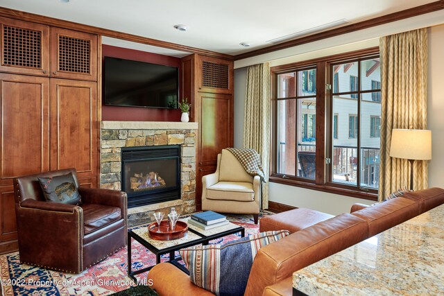 living room featuring a stone fireplace and ornamental molding