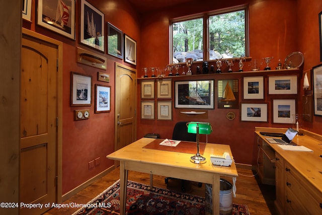 office featuring dark hardwood / wood-style flooring