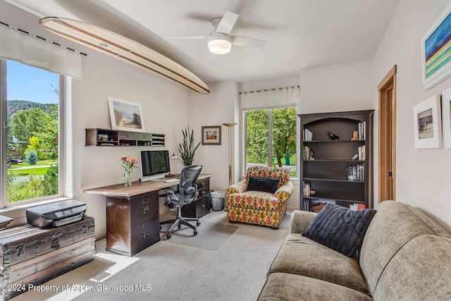 64 White Peaks Ln, Glenwood Springs, CO 81601 - office area with carpet floors and ceiling fan