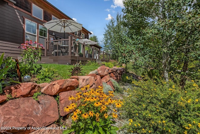 64 White Peaks Ln, Glenwood Springs, CO 81601 - view of yard with a wooden deck
