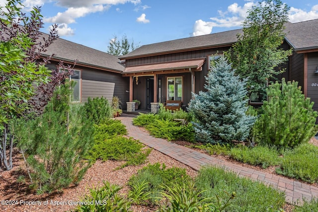 64 White Peaks Ln, Glenwood Springs, CO 81601 - view of front of home with board and batten siding and a shingled roof