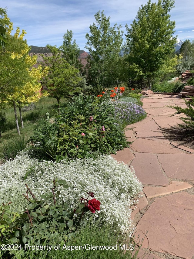 64 White Peaks Ln, Glenwood Springs, CO 81601 - view of yard