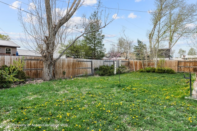 view of yard