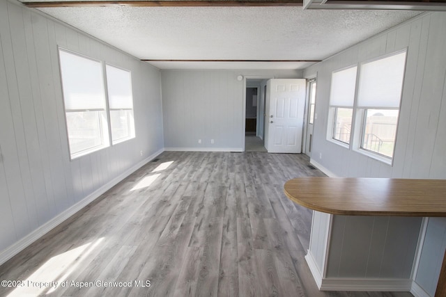 22 W Silver Bell Pl, Parachute, CO 81635 - unfurnished living room with light wood-style floors, wooden walls, and a healthy amount of sunlight