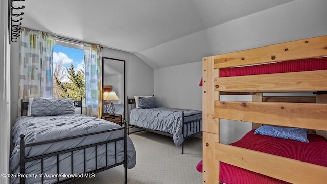 3 Red Wing Ln, Carbondale, CO 81623 - carpeted bedroom featuring vaulted ceiling
