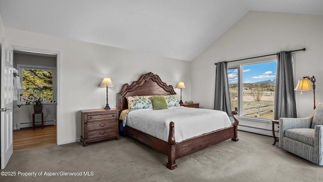 3 Red Wing Ln, Carbondale, CO 81623 - bedroom with multiple windows, carpet, lofted ceiling, and baseboard heating